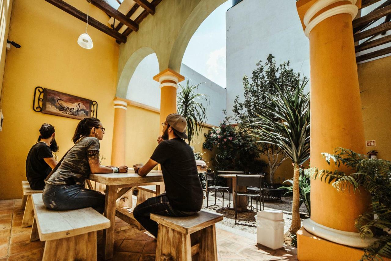 Snail Bed & Breakfast (Adults Only) San Cristobal de las Casas Luaran gambar