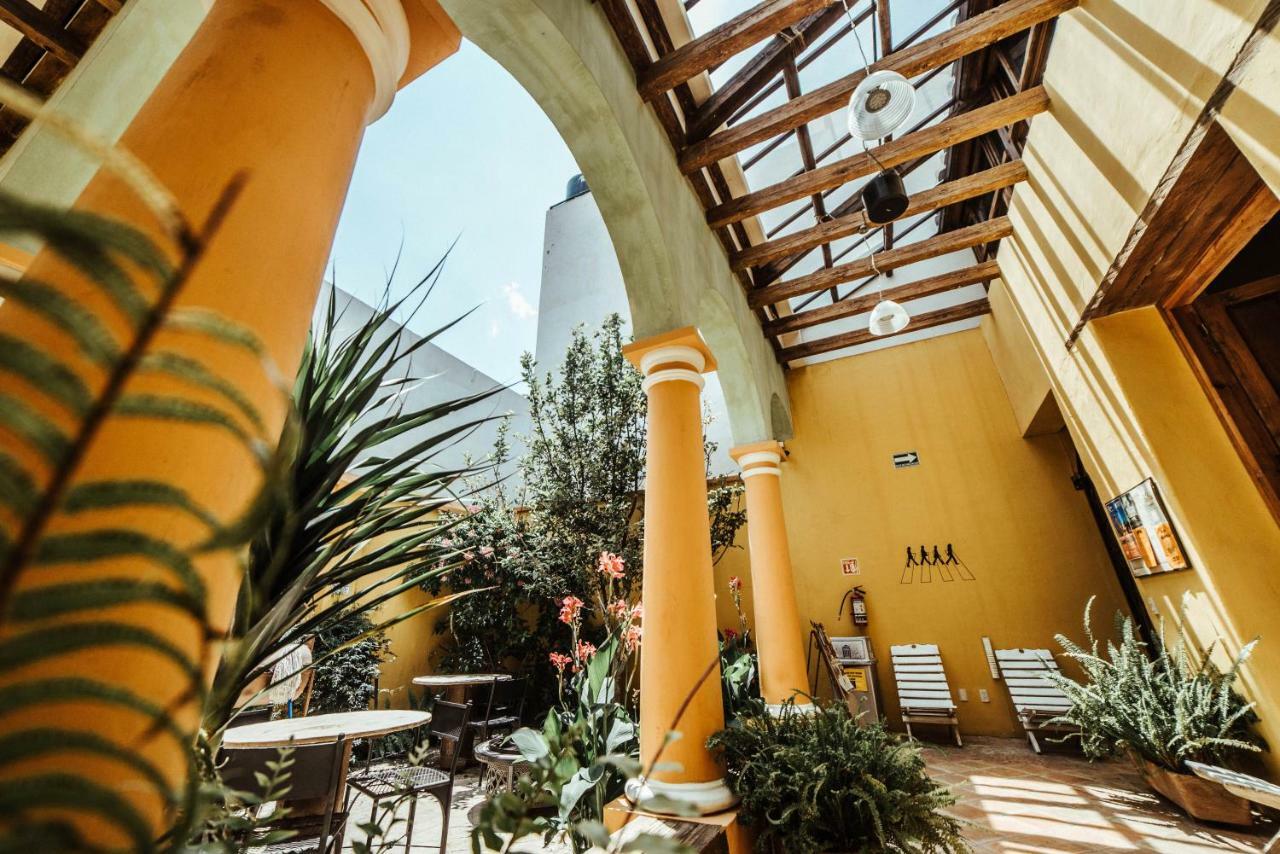 Snail Bed & Breakfast (Adults Only) San Cristobal de las Casas Luaran gambar